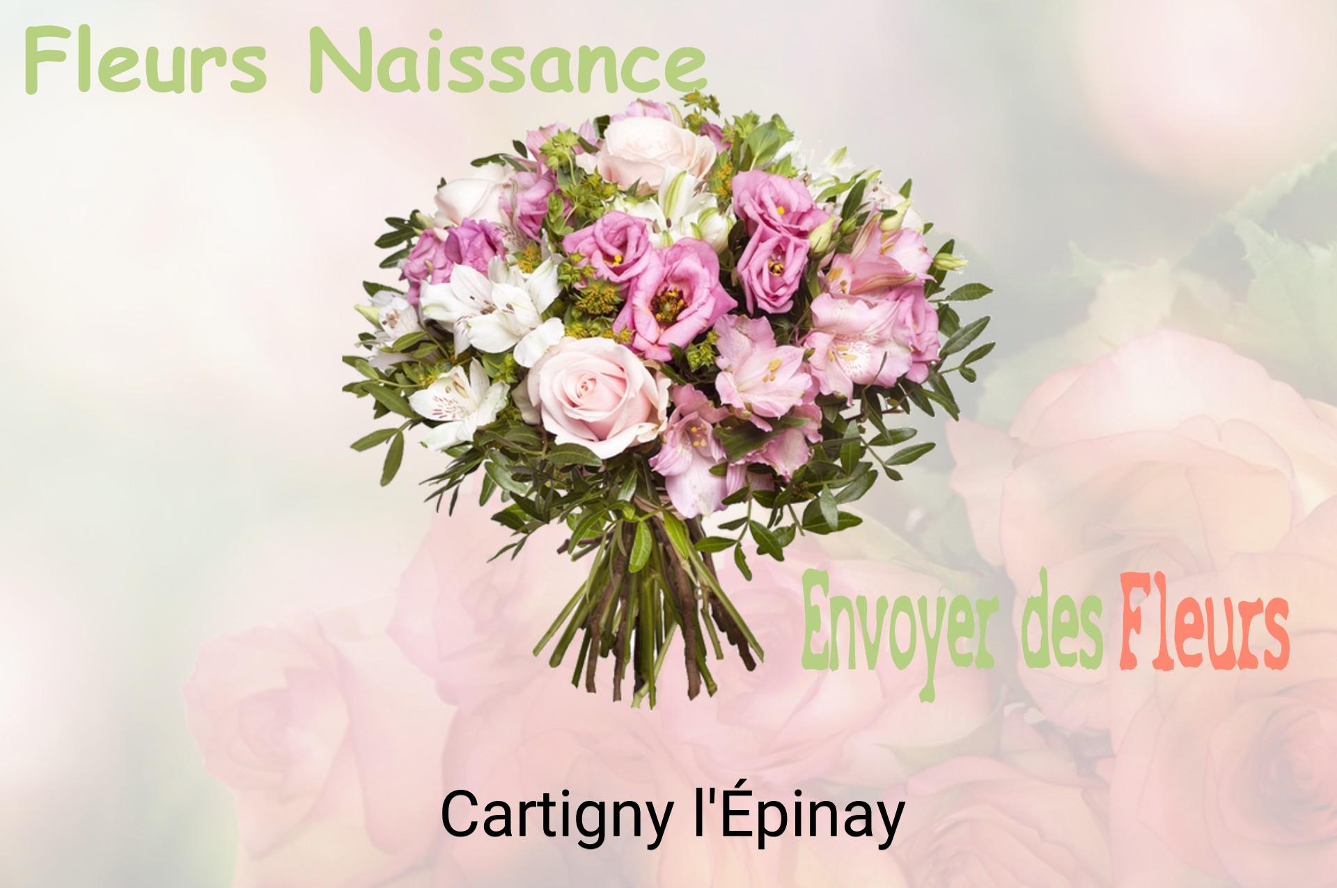 Bouquet de fleurs de naissance livré à Cartigny-l'Épinay
